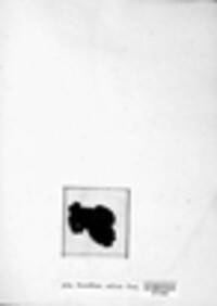 Zasmidium cellare image